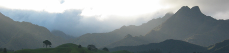 coromandel-450_banner