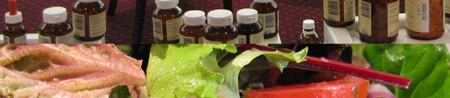 choice_banner-450px
