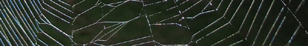 web_banner-450px