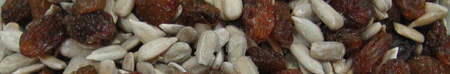 sultanas_and_sunflower_seeds_450px