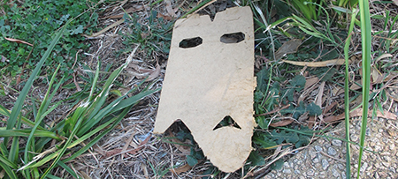 fear_mask_450px
